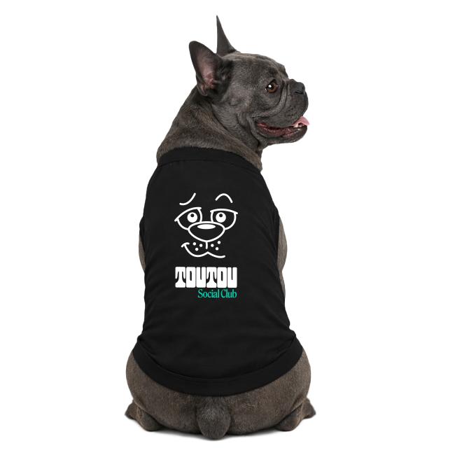 Chien